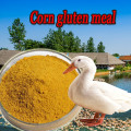 Best Price Corn Gluten Meal for Cattle